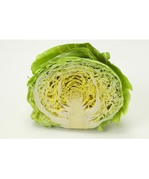 キャベップ | しなしなになるまで待つ(キャップ)