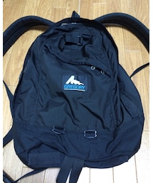 GREGORY | day pack made in USA 青タグ(バックパック/リュック)