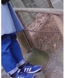 adidas | スニーカー