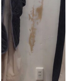 LAVENHAM | ダウンジャケット/コート