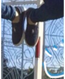 POLO RALPH LAUREN | スニーカー