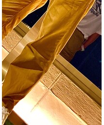 Carhartt | ベルト