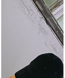 Carhartt | キャップ