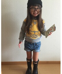 そのまんまれもん | その他