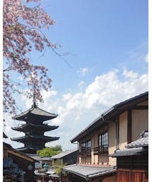 京都❤️ | その他