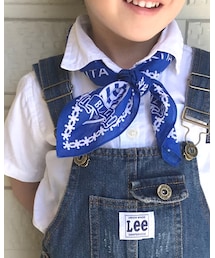 ブラウブリッツ秋田 | バンダナ/スカーフ