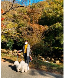 ZARA | ジャケット/アウター