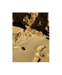 AZUL | デニムパンツ