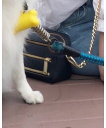 REBECCA MINKOFF | ショルダーバッグ