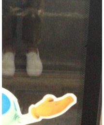 VANS | スニーカー