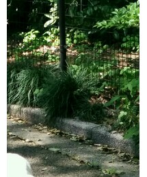 ベルメゾン | ハット