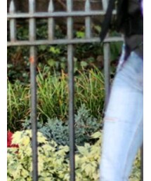 Peter Pilotto | スーツジャケット