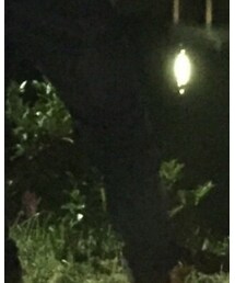 GU | デニムパンツ