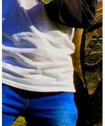 VANS | Tシャツ/カットソー