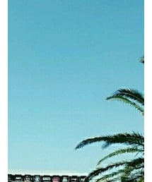 袖ヶ浦海浜公園 | その他