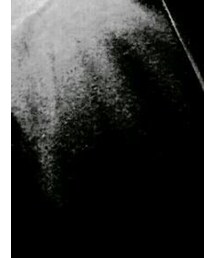 シンプルな服 | Tシャツ/カットソー