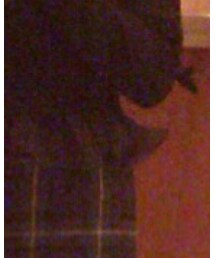 SNIDEL | キャミソール