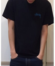 STUSSY | Tシャツ/カットソー