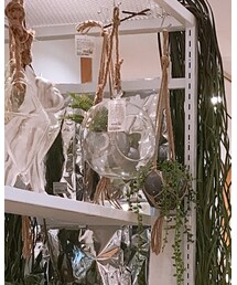 Ray BEAMS | キャップ