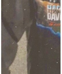 Harley-Davidson | Tシャツ/カットソー