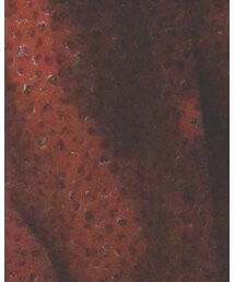 UNIQLO | ワンピース