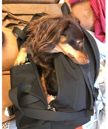 朝の一悶着😂 | その他