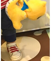 why and 1/2 | その他パンツ