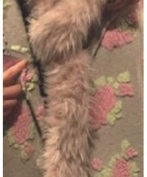 アンドドロシー | マフラー