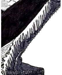 Minnetonka | ブーツ