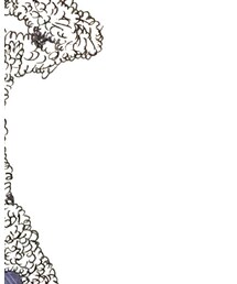 SENSE OF PLACE by URBAN RESEARCH | その他アウター