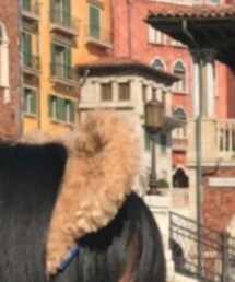 Disney | カチューシャ