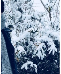 WEGO | ピーコート