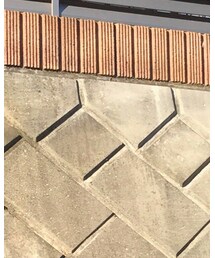 GU | シャツ/ブラウス