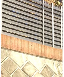 BURBERRY BLACK LABEL | マフラー