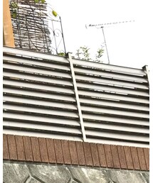 ZARA | Tシャツ/カットソー