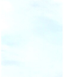 ZARA | Tシャツ/カットソー