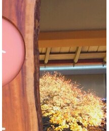 PLST | ダウンジャケット/コート