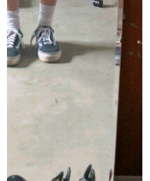 VANS | スニーカー