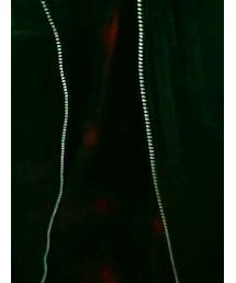 Saint Laurent | シャツ/ブラウス