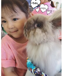 kiss🐰💕 | その他