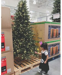 🎄 | その他