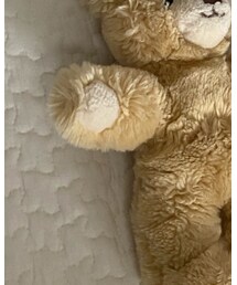 Steiff | おもちゃ