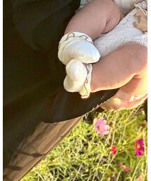 petit main | ソックス/靴下