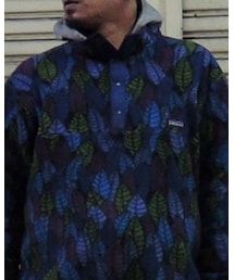 patagonia | その他アウター