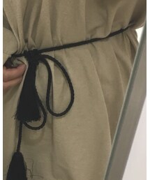 フラミンゴ | ベルト