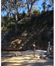 スナフキンになる | その他