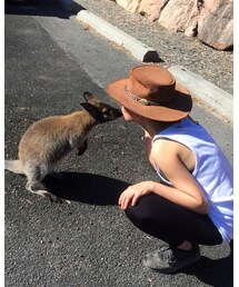 UNKNOWN. | ハット