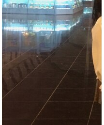 场地汕头 | ミラー