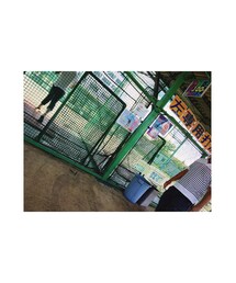 バッセン | その他