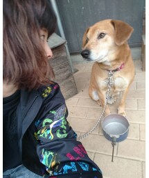 🐶♥ | その他
